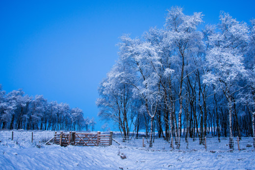 920578 (a): :2048x1367